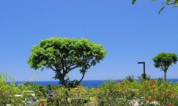 Wainiha, Hawaii, Vacation Rental Condo