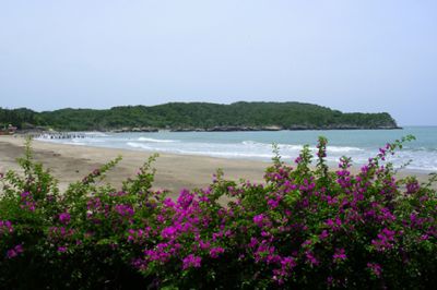 Great Bay, Treasure Beach, St.Elizabeth, Vacation Rental Holiday Rental