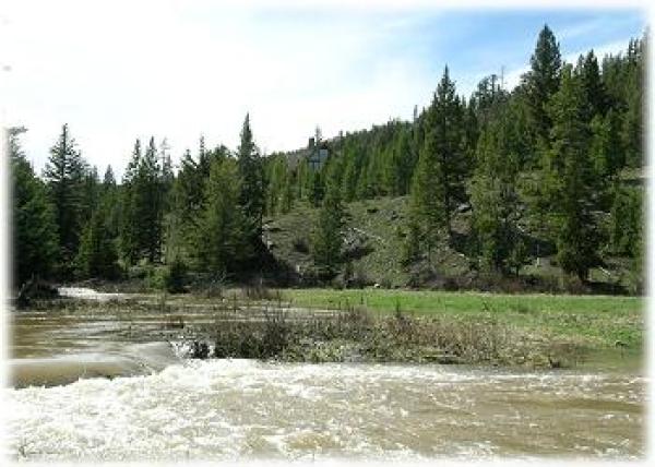 Beaver Creek through the meadow below the home