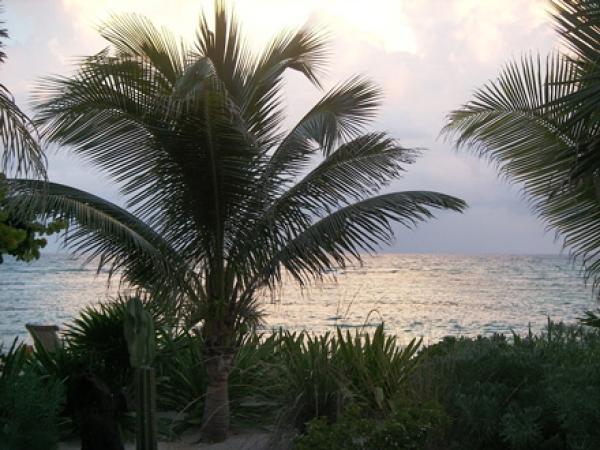 Sunset from your bedroom