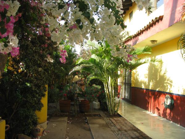 side garden
