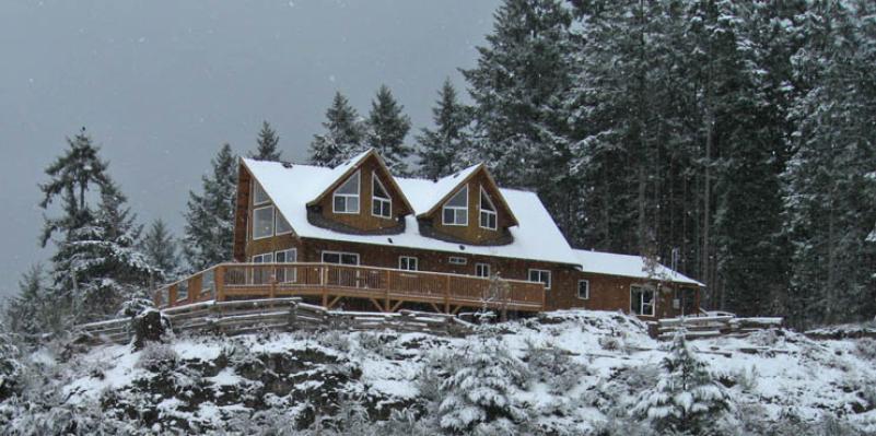 House View in Winter