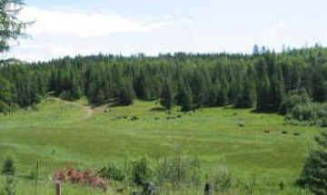 Sandpoint, Idaho, Vacation Rental Cabin