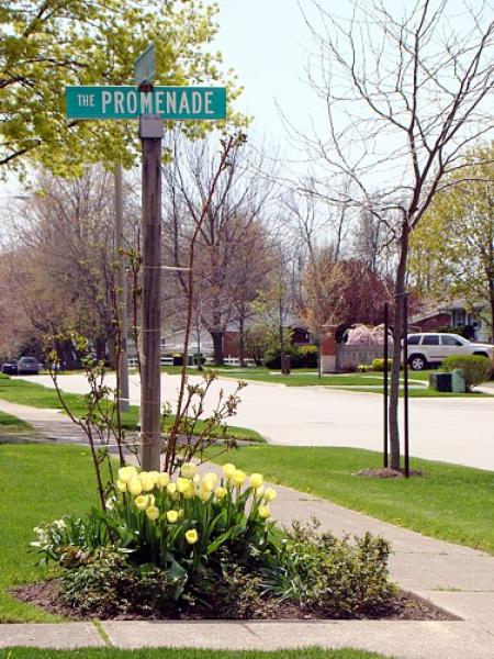 Promenade Street 
