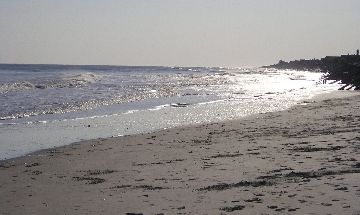Fripp Island, South Carolina, Vacation Rental Condo