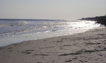 Fripp Island, South Carolina, Vacation Rental Condo