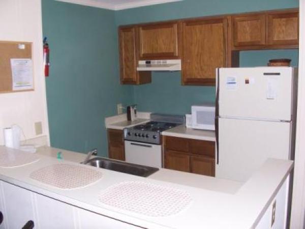 Snowshoe, West Virginia, Vacation Rental Condo