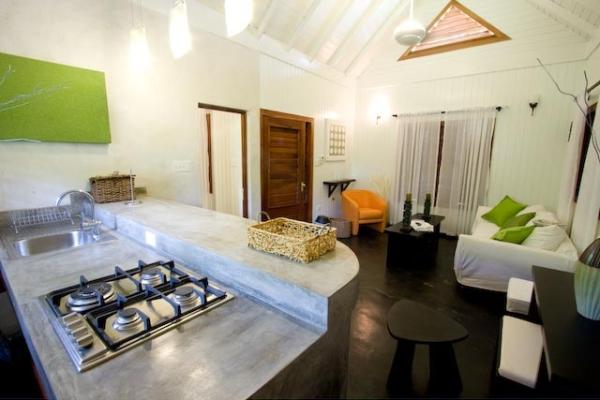 Kitchen and Living Area