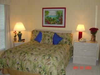 Sandestin Vacation Rental
