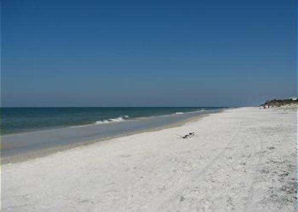 View of the Beach in Front of Secluded Luxury 