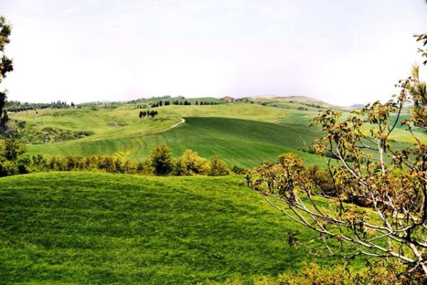 View of the Surrounding Countryside
