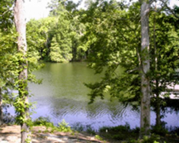 View of Lake Marion from Balcony