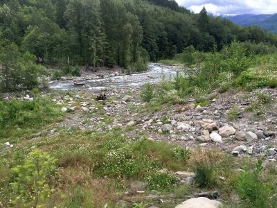 Canyon Creek Path