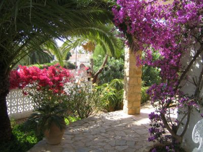 Garden with terraces