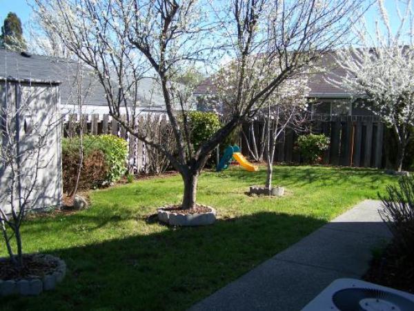 The back yard is fenced for your babies