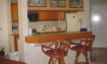 Hilton Head Island, South Carolina, Vacation Rental Condo