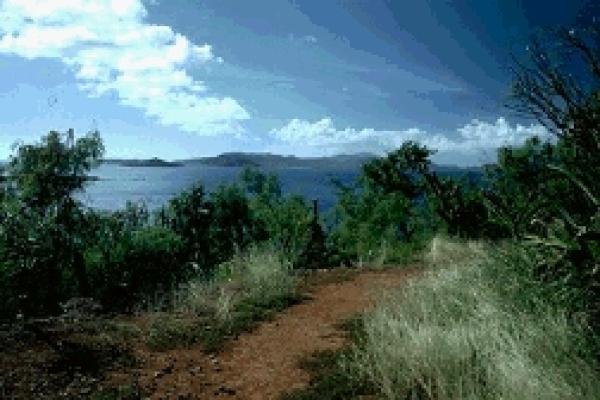 View from Margaret Hill