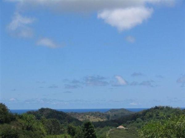 Vue de la baie du Robert depuis le jardin