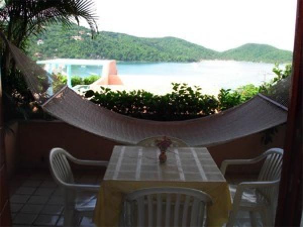 View from Patio & Hammock