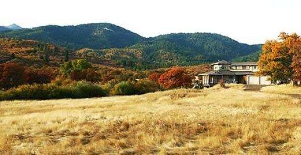 Area View