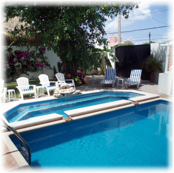 Looking across the pool to the tropical shade tree
