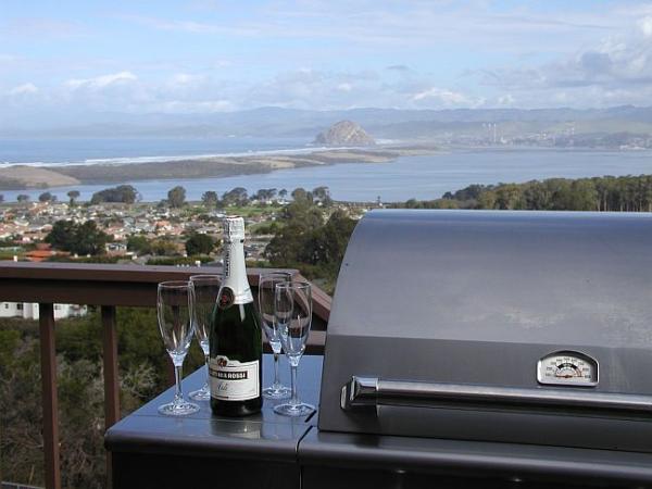 Barbeque, cocktails, champagne  Anyone?