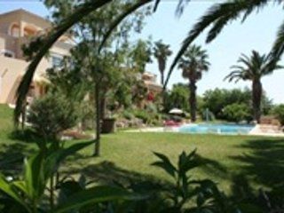 Villa garden with palm trees and pool