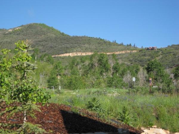 Outside View