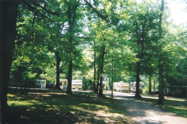 Shady Campsites