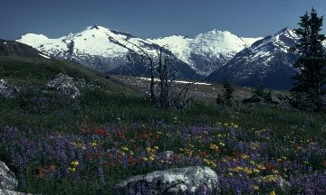 Whistler, British Columbia, Vacation Rental Condo