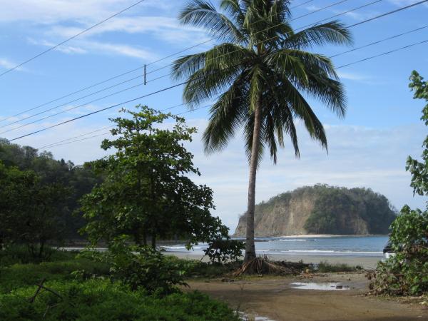 Local Beach 