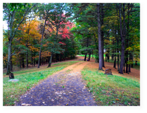 Driveway to house