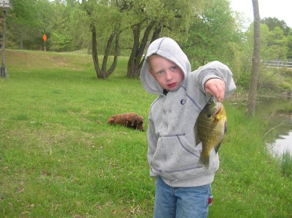 Sunfish Caught off the End of the Dock
