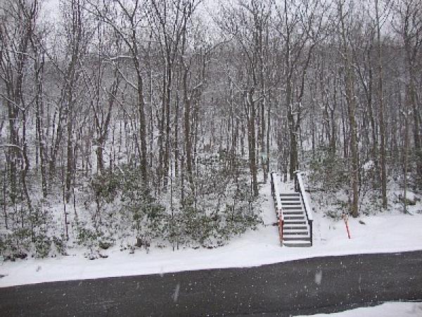 Steps Across from Our Door to Ski
