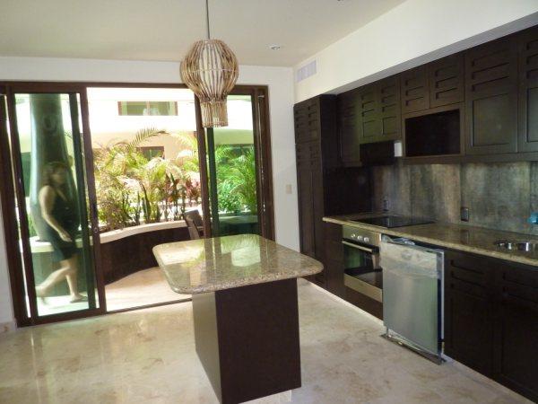 kitchen and terrace