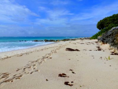 Surfers Bay Beach in Barbados