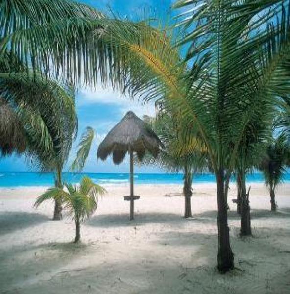 Beach View