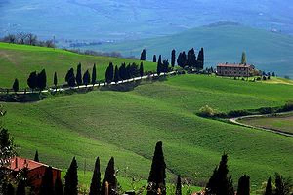 Tuscan Hills Landscape