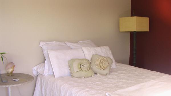 Large 2nd bedroom with patio access