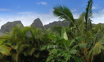 Anahola, Hawaii, Vacation Rental Condo