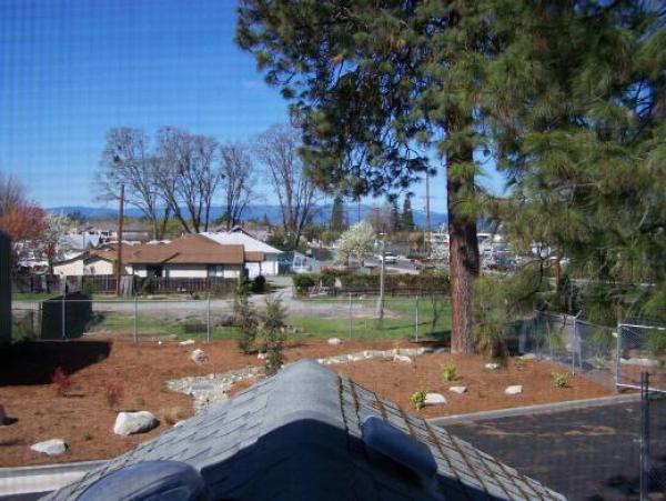 The view from the arch window 