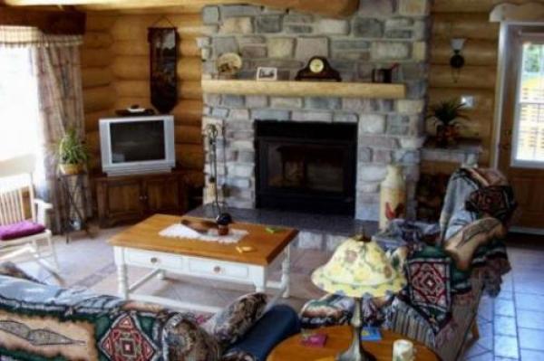 Fireplace in Living Room