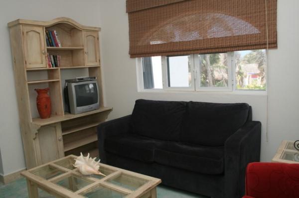  TV Area w/ Sleeper Sofa