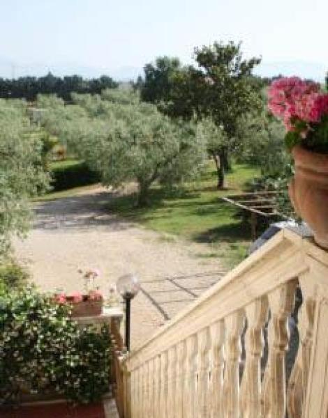 View over garden and olive grove