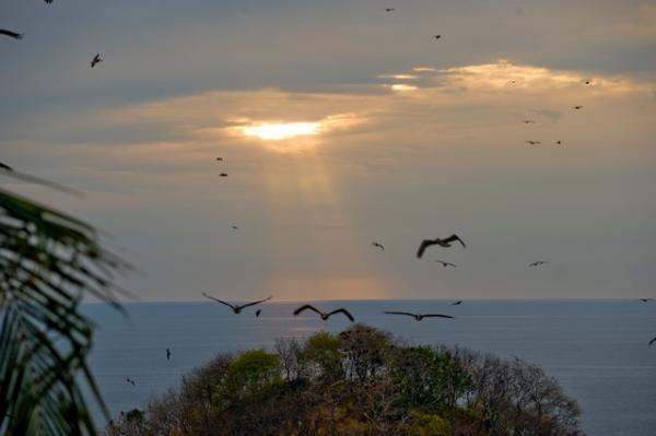 View from the ocean
