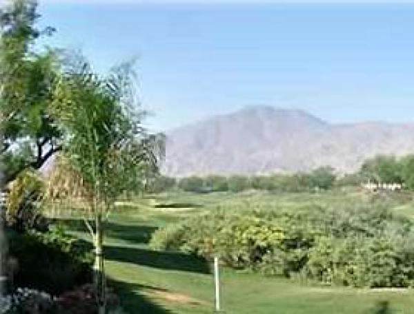 Patio View