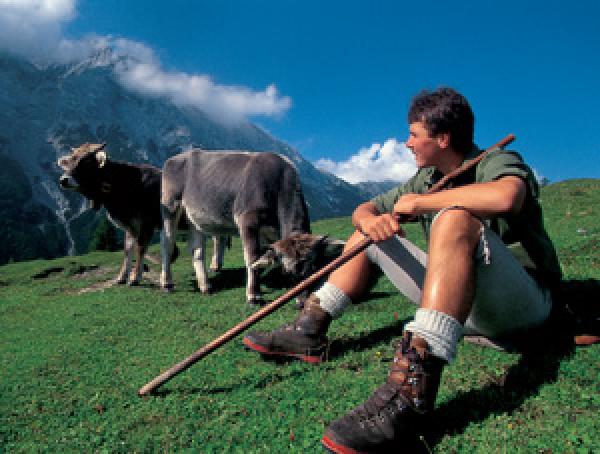 Stubaital in Summer
