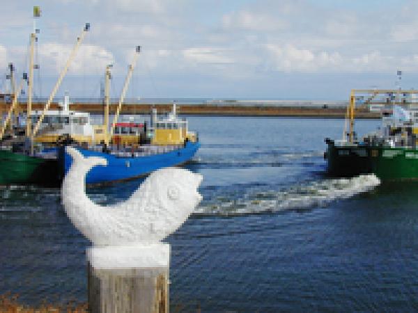 Sea View with Boat