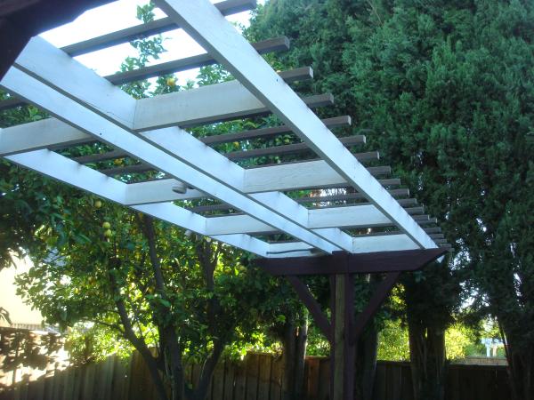Designer Arbor