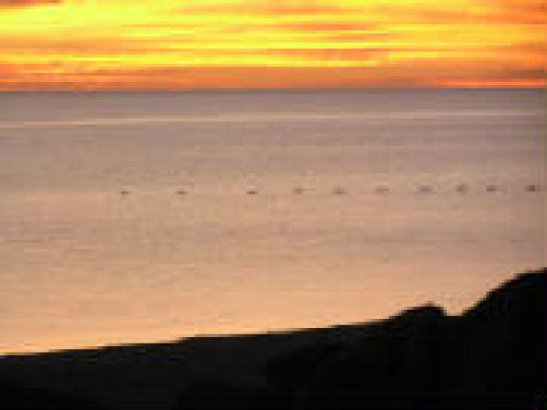 A Beautiful Mourning Sunrise